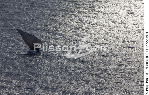 Boutre Malgache - © Philip Plisson / Plisson La Trinité / AA34421 - Nos reportages photos - Lumière