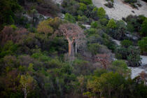 la baie de Marovasa © Philip Plisson / Plisson La Trinité / AA34693 - Nos reportages photos - Baobab