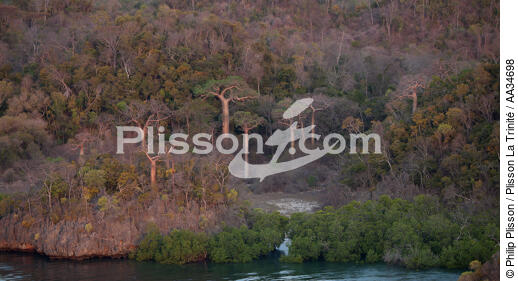 La baie de Marovasa - © Philip Plisson / Plisson La Trinité / AA34698 - Nos reportages photos - Baobab
