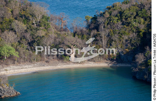 La baie de Marovasa - © Philip Plisson / Plisson La Trinité / AA34705 - Nos reportages photos - Flore