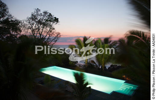 Marovasabe - © Philip Plisson / Plisson La Trinité / AA34831 - Photo Galleries - Palm tree