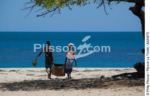 Marovasabe - © Philip Plisson / Plisson La Trinité / AA34875 - Photo Galleries - Coastal landscape