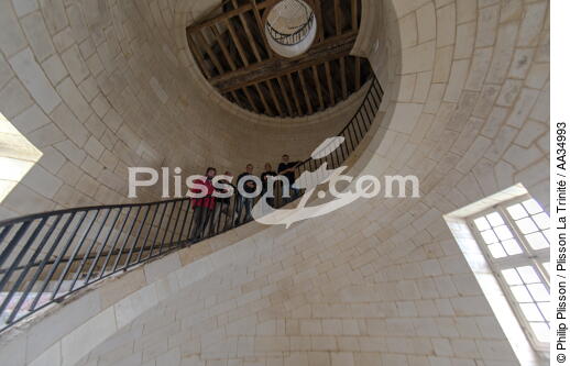 Cordouan - © Philip Plisson / Plisson La Trinité / AA34993 - Photo Galleries - Lighthouse