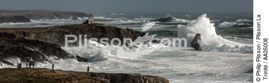 La côte sauvage de Quiberon - © Philip Plisson / Plisson La Trinité / AA35008 - Nos reportages photos - Environnement