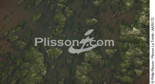 Le Loiret vue du ciel - © Philip Plisson / Plisson La Trinité / AA35172 - Nos reportages photos - Le Loiret vue du ciel