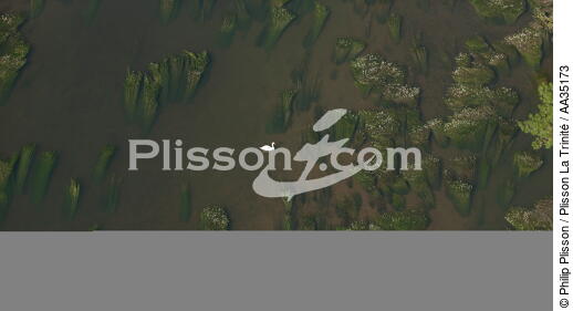 Loiret view of the sky - © Philip Plisson / Plisson La Trinité / AA35173 - Photo Galleries - Loire [The]