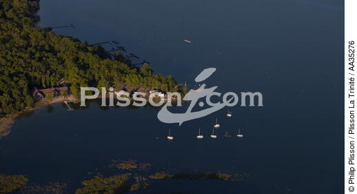 L'étang du Puits à Cerdon - © Philip Plisson / Plisson La Trinité / AA35276 - Nos reportages photos - Loire [la]