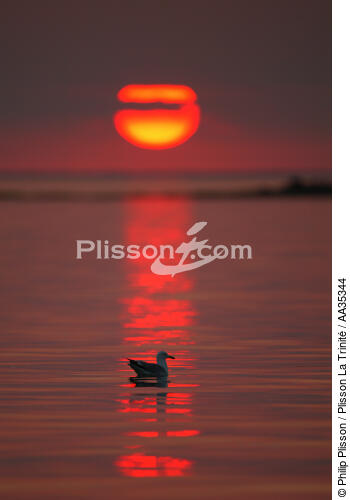 coucher de soleil - © Philip Plisson / Plisson La Trinité / AA35344 - Nos reportages photos - Lumière