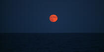 moonset © Philip Plisson / Plisson La Trinité / AA35346 - Photo Galleries - Sea