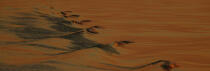 coucher de soleil © Philip Plisson / Plisson La Trinité / AA35348 - Nos reportages photos - Mer