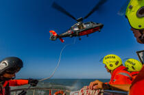 Winching exercise with the boat SNSM Royan © Philip Plisson / Plisson La Trinité / AA35393 - Photo Galleries - Helicopter winching