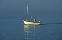 Small fishing © Philip Plisson / Plisson La Trinité / AA35406 - Photo Galleries - Rowing boat