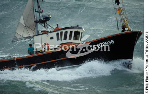 Inshore fishing - © Philip Plisson / Plisson La Trinité / AA35411 - Photo Galleries - Sea