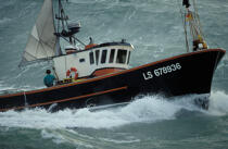 Inshore fishing © Philip Plisson / Plisson La Trinité / AA35411 - Photo Galleries - Rough seas