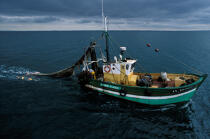 Pêche en baie de Quiberon © Philip Plisson / Plisson La Trinité / AA35414 - Nos reportages photos - Pêche côtière