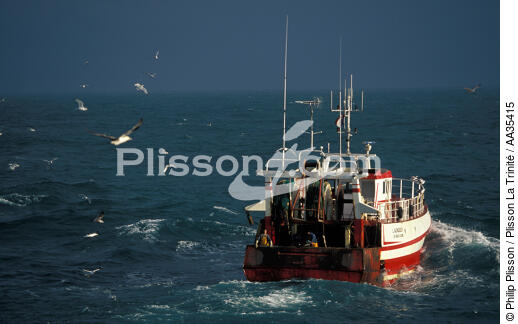 Inshore fishing - © Philip Plisson / Plisson La Trinité / AA35415 - Photo Galleries - Types of fishing