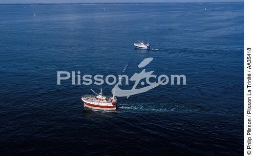 Fishing beef - © Philip Plisson / Plisson La Trinité / AA35418 - Photo Galleries - Fishing vessel