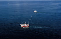 Pêche en boeuf © Philip Plisson / Plisson La Trinité / AA35418 - Nos reportages photos - Pêche côtière