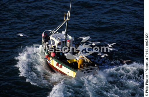 Inshore fishing - © Philip Plisson / Plisson La Trinité / AA35420 - Photo Galleries - Inshore fishing