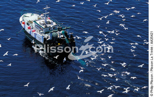 Pêche côtière - © Philip Plisson / Plisson La Trinité / AA35421 - Nos reportages photos - Pêche
