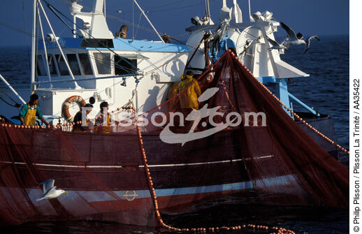 Pêche à la sardine - © Philip Plisson / Plisson La Trinité / AA35422 - Nos reportages photos - Pêche à la sardine
