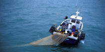 Inshore fishing © Philip Plisson / Plisson La Trinité / AA35425 - Photo Galleries - Fishing vessel