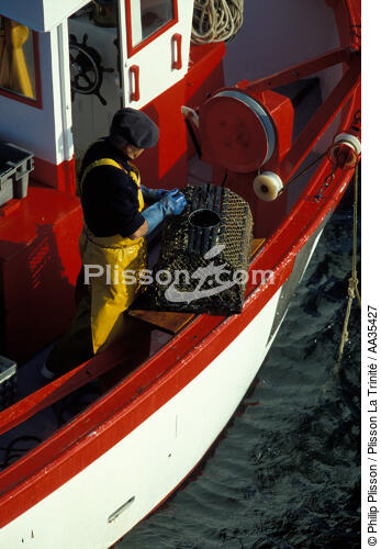 Caseyeur - © Philip Plisson / Plisson La Trinité / AA35427 - Photo Galleries - Lobster pot fishing boat