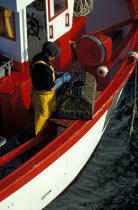 Caseyeur © Philip Plisson / Plisson La Trinité / AA35427 - Nos reportages photos - Pêche côtière