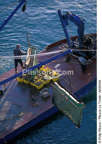 Ponton ostréicole - © Philip Plisson / Plisson La Trinité / AA35434 - Nos reportages photos - Aquaculture