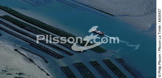 Oyster beds in the Côtes d'Armor - © Philip Plisson / Plisson La Trinité / AA35437 - Photo Galleries - Shellfish farming