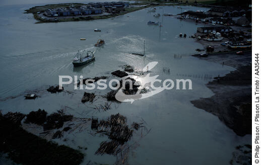 Le Vivier sur mer dans la baie du Mont-Saint-Michel - © Philip Plisson / Plisson La Trinité / AA35444 - Nos reportages photos - Manche [La]