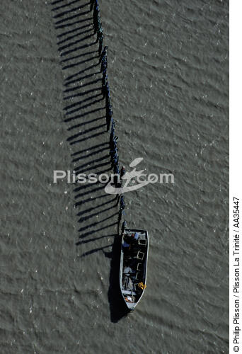 Parc à moules - © Philip Plisson / Plisson La Trinité / AA35447 - Nos reportages photos - Parc à moules