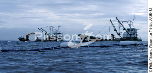 Myticole on pontoon parks at sea - © Philip Plisson / Plisson La Trinité / AA35452 - Photo Galleries - Mussel breeding
