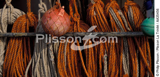 Inshore fishing - © Philip Plisson / Plisson La Trinité / AA35456 - Photo Galleries - Roscoff