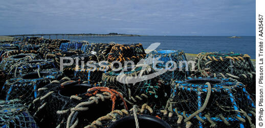 Casiers sur le port de Roscoff - © Philip Plisson / Plisson La Trinité / AA35457 - Nos reportages photos - Type de pêche