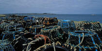 Casiers sur le port de Roscoff © Philip Plisson / Plisson La Trinité / AA35457 - Nos reportages photos - Pêche