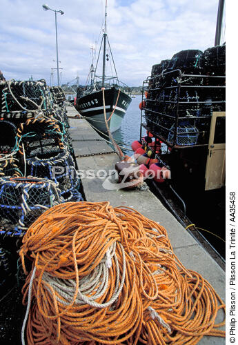 Le port de Roscoff - © Philip Plisson / Plisson La Trinité / AA35458 - Nos reportages photos - Pêche côtière