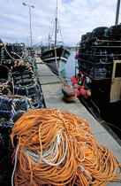 The port of Roscoff © Philip Plisson / Pêcheur d’Images / AA35458 - Photo Galleries - Fishing equipment