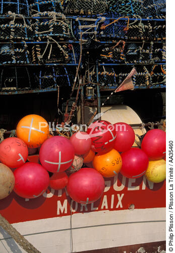 Bateau de pêche dans le port de Roscoff - © Philip Plisson / Plisson La Trinité / AA35460 - Nos reportages photos - Roscoff