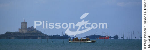 Pontoon oyster bay of Morlaix - © Philip Plisson / Plisson La Trinité / AA35464 - Photo Galleries - Site of Interest [29]