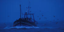 Back Fishing Guilvinec © Philip Plisson / Plisson La Trinité / AA35469 - Photo Galleries - Dawn
