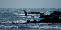 Pêche à la ligne © Philip Plisson / Plisson La Trinité / AA35470 - Nos reportages photos - Pêche