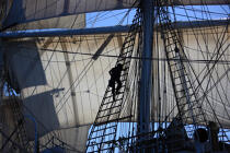 The masts © Philip Plisson / Pêcheur d’Images / AA35511 - Photo Galleries - Tall ship / Sailing ship