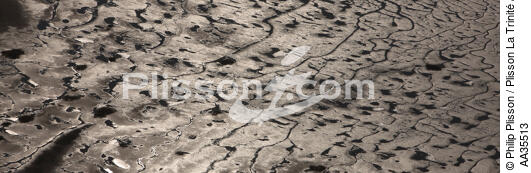 Mudflat in the Gulf of Morbihan - © Philip Plisson / Plisson La Trinité / AA35513 - Photo Galleries - Plage de Donnant
