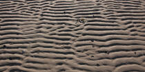 Dessins sur le sable © Philip Plisson / Plisson La Trinité / AA35518 - Nos reportages photos - Paysage littoral