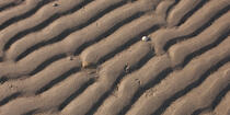 Sand Drawings © Philip Plisson / Plisson La Trinité / AA35519 - Photo Galleries - Coastal landscape