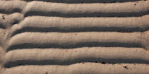 Sand Drawings © Philip Plisson / Plisson La Trinité / AA35520 - Photo Galleries - Geomorphology