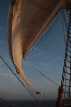 A bord du Belem © Philip Plisson / Plisson La Trinité / AA35521 - Nos reportages photos - Les Grands voiliers
