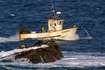 Petite pêche en baie de Quiberon © Philip Plisson / Plisson La Trinité / AA35532 - Nos reportages photos - Site [56]