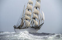 The Three Mast Barque Statsraad Lehmkuhl © Philip Plisson / Plisson La Trinité / AA35557 - Photo Galleries - Tall ships